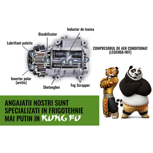 Panda aer conditionat